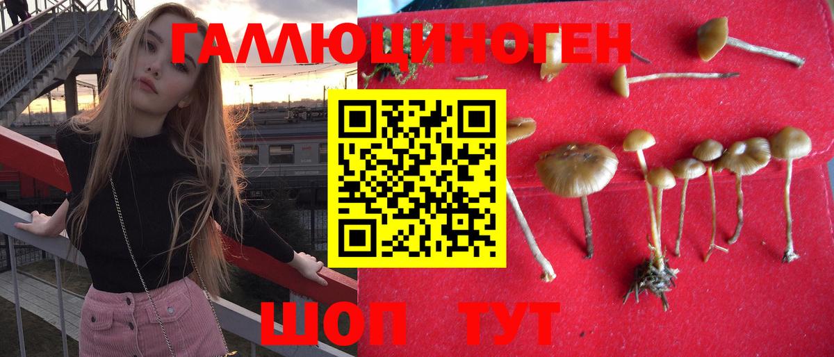 Галлюциногенные грибы мицелий Лабытнанги